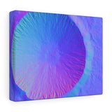 Mars Crater Canvas Art