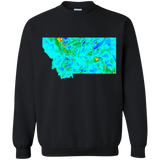 Montana Magnetism Geology Shirt