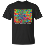 Colorado Magnetism Geology Shirt